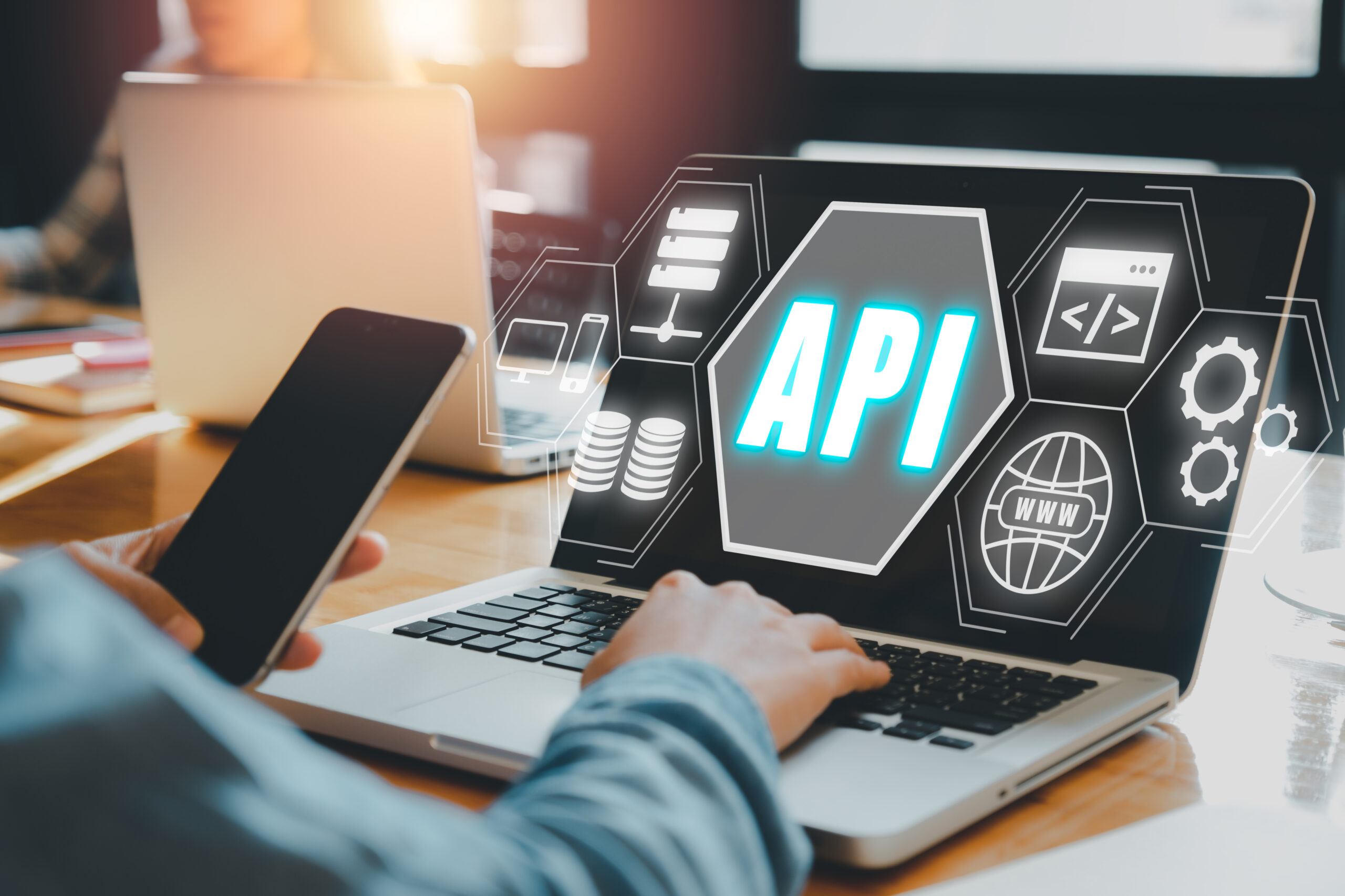 WordPress API and systems integration services